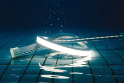 TL SERIES LED Strip Light - TL24NEON-P