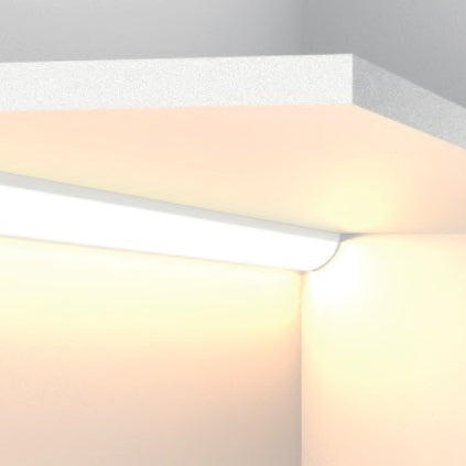 TL SERIES LED Strip Light - TL24NEON-45